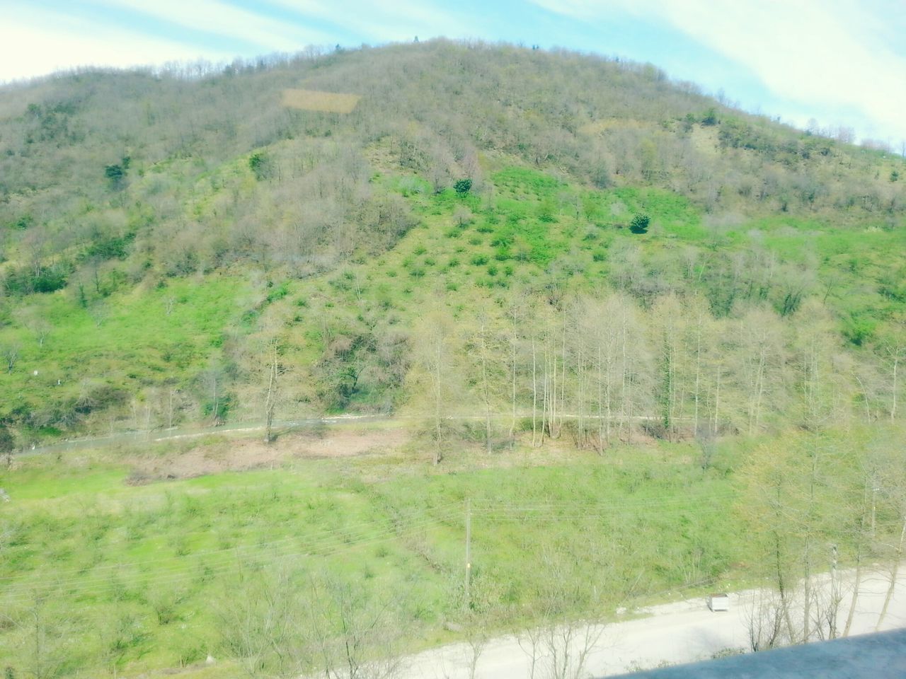 mountain, tranquil scene, tranquility, landscape, scenics, tree, sky, grass, beauty in nature, green color, nature, growth, non-urban scene, mountain range, field, plant, idyllic, hill, day, remote