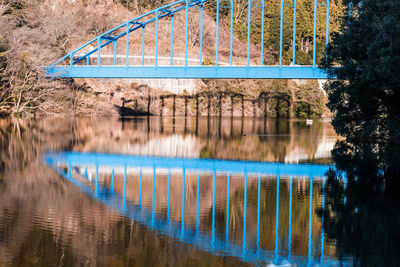 Bridge over river against trees