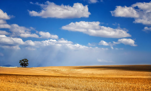 Scenic view of field against sky