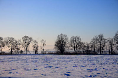 Trees on snow covered field against clear sky