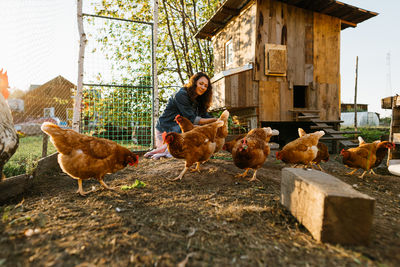 Happy middle aged woman on a private farm feeding chickens