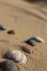 Full frame shot of sand