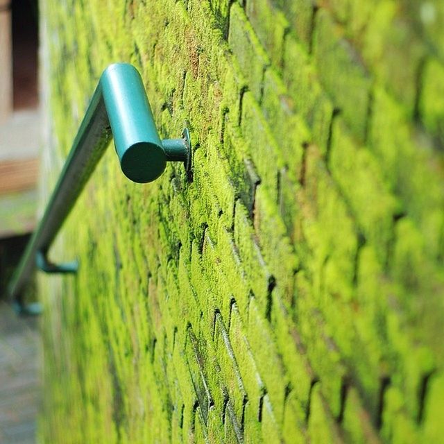 green color, focus on foreground, close-up, selective focus, growth, no people, still life, day, tree, outdoors, plant, nature, green, metal, field, wood - material, technology, bottle, sunlight