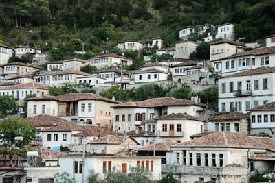 Houses in town of berat in albania