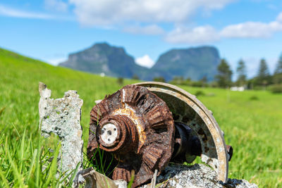 Close-up of wood on field against sky