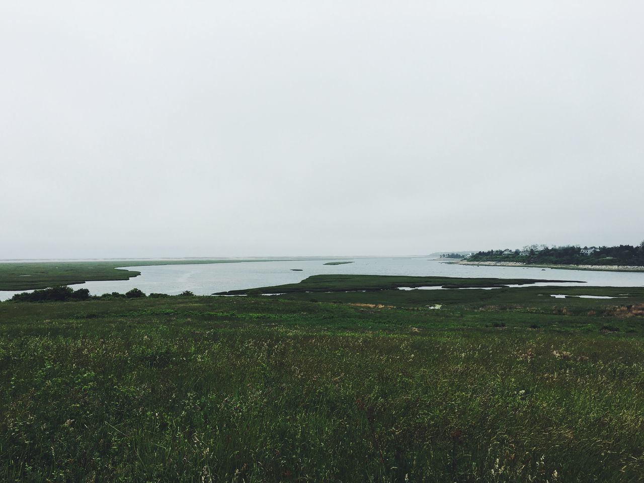 grass, water, tranquil scene, sea, tranquility, horizon over water, scenics, copy space, landscape, non-urban scene, calm, clear sky, beauty in nature, nature, solitude, sky, day, field, green color, ocean, green, grassy, remote, outdoors, coastline, surface level, majestic, tourism, vacations