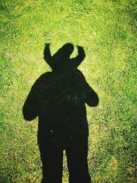 Shadow of man and woman standing on field