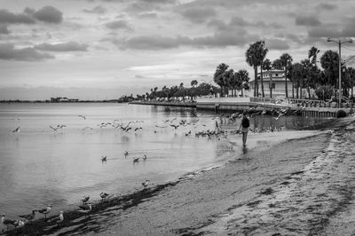 Rear view of mid adult man walking at beach against sky