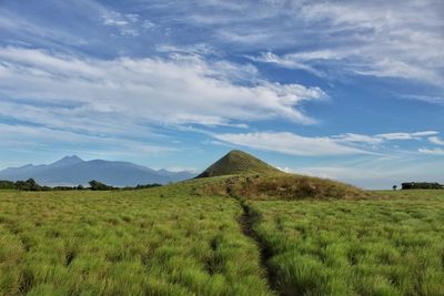 Scenic view of landscape against sky