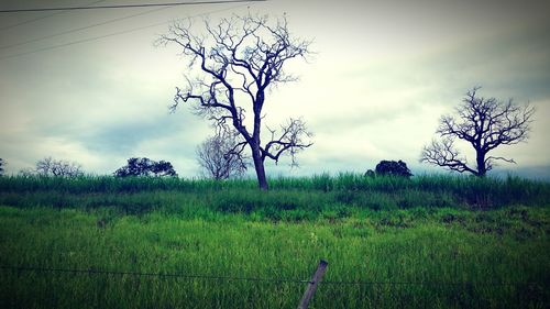 Scenic view of grassy field against cloudy sky