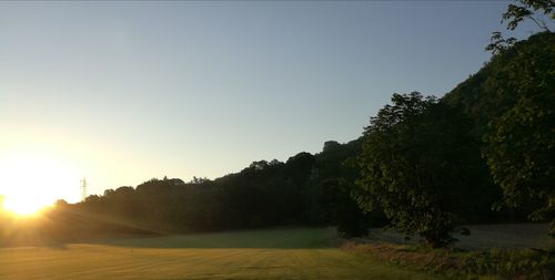 Scenic view of field against clear sky during sunset