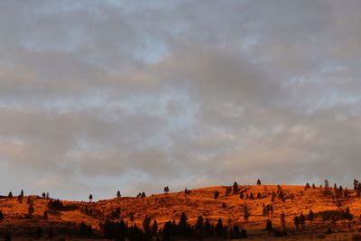 Panoramic view of landscape against sky