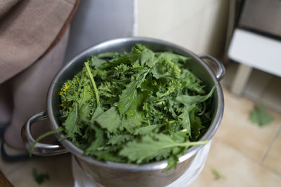 Friarielli - typical vegetables from campania