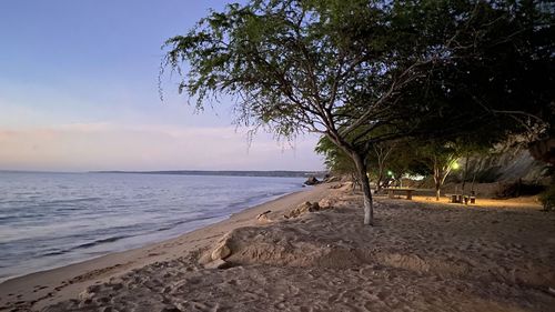 Scenic view of beach against sky