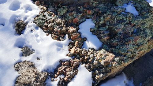 Rocks in water