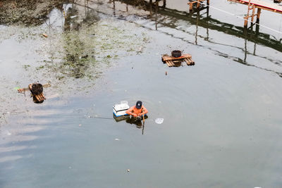 High angle view of ducks swimming on lake