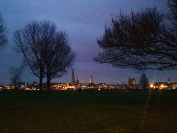 Bare trees against sky at night