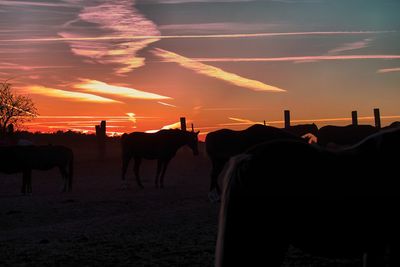 Silhouette people on field against sky during sunset