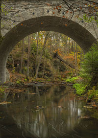 Arch bridge over lake