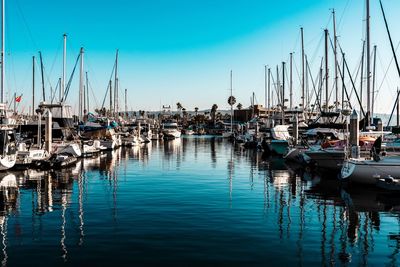 Sailboats moored in harbor