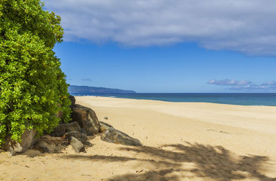 Scenic view of beach against sky