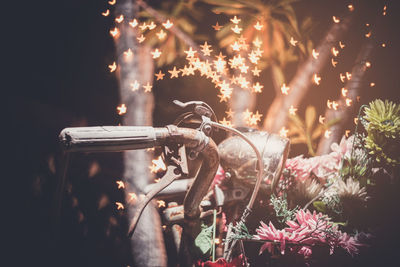 Close-up of flowering plants on field at night