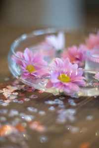 Close-up of pink flowers on table