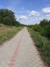 Empty road amidst trees against sky