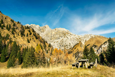 Panorama with blue sky, rocky mountains and tree-lined slopes. sass de mura, belluno, italy