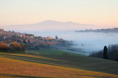 Scenic view of agricultural landscape against sky during sunset