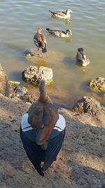 High angle view of man on lake