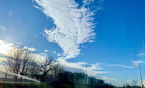 Low angle view of trees against blue sky