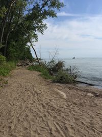 Scenic view of calm sea against sky