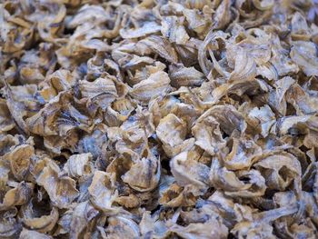 Full frame shot of crab for sale in market