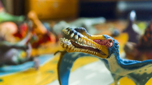 Close-up of turtle swimming in sea
