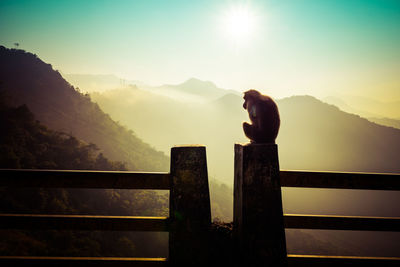 Monkey on railing against mountains during sunset