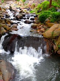 Stream flowing through rocks in forest