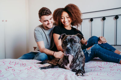 Two dogs sitting at home