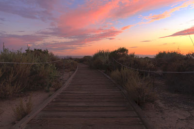 Boardwalk amidst plants against sky during sunset