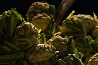 Close-up of cauliflowers