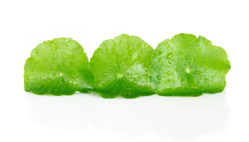 Close-up of strawberry over white background