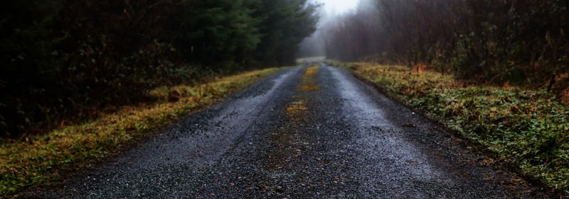 Road amidst grass