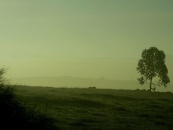 Scenic view of field against clear sky