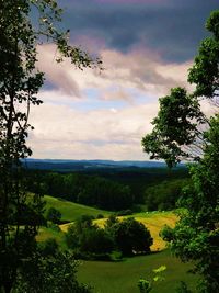 Scenic view of trees on field against sky