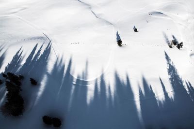 High angle view of trees on snow covered landscape