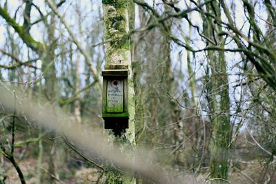 Old wooden birdhouse on tree at forest