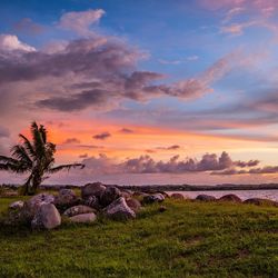 Scenic view of field against sky during sunset
