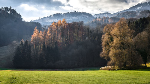 Scenic view of landscape against sky