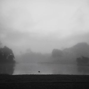 Scenic view of landscape against cloudy sky