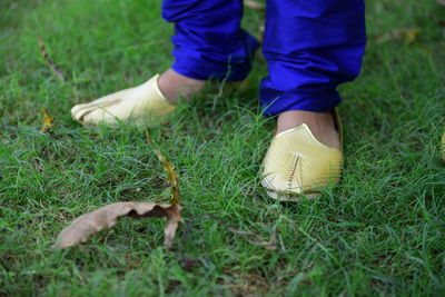 Low section of child on field